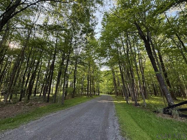 Baumgardner Road Salix, PA 15952 - Photo 9 of 14 Gallery Image 9