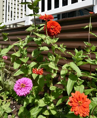 $84,000 | 500 2nd Street Northeast, Unit LOT 500, Milaca, MN 56353