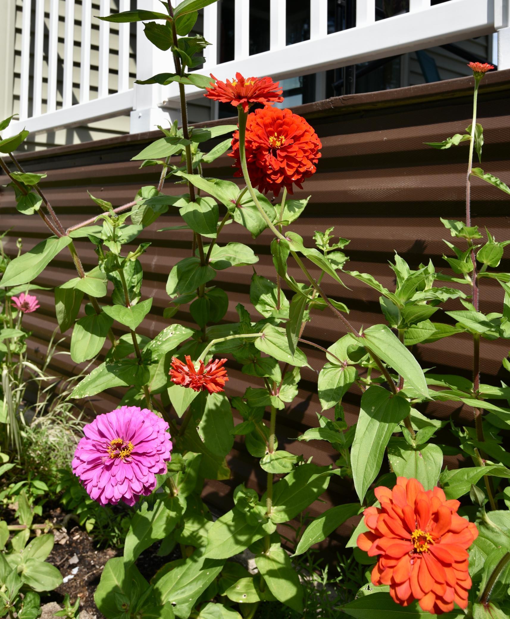 500 2nd Street Northeast, Unit LOT 500 Milaca, MN 56353 - Photo 18 of 18