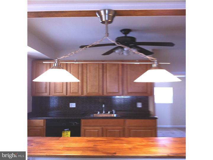 7347 Sommers Road Philadelphia, PA 19138 - Photo 7 of 24 Kitchen