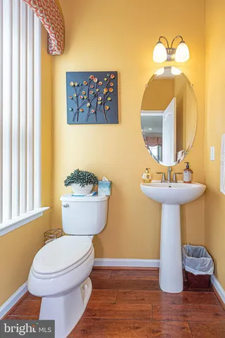 a view of a bunch of trees and bushes