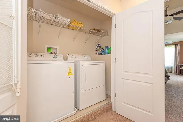 a living room with furniture a lamp and a window