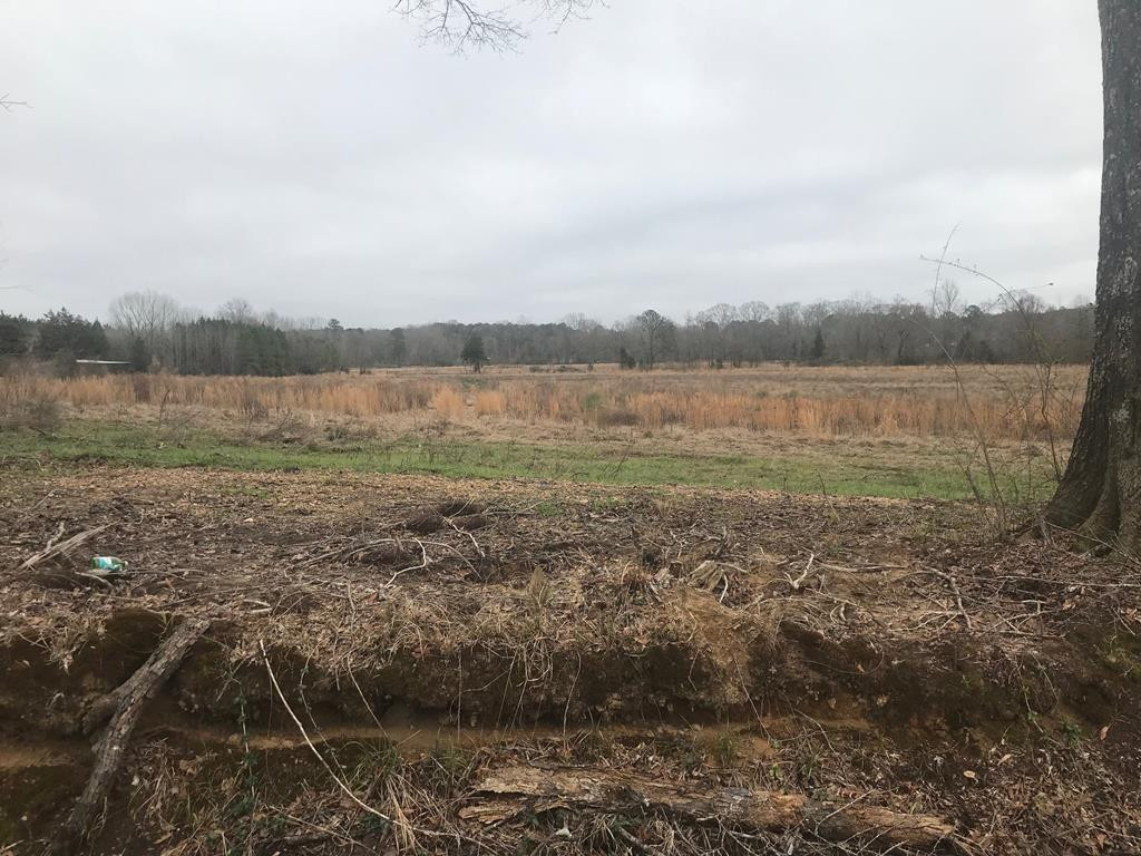 1111 Broome Road Wesson, MS 39191 - Photo 1 of 7 Main View