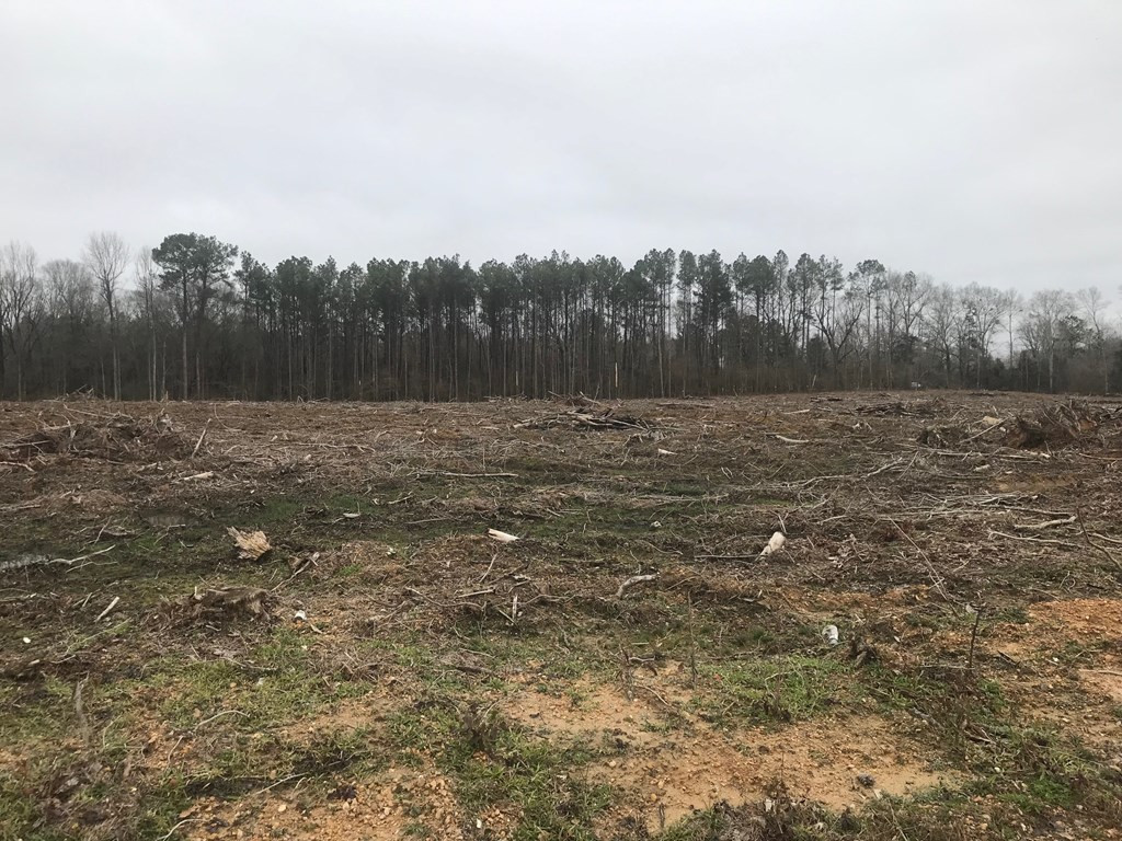 1111 Broome Road Wesson, MS 39191 - Photo 6 of 7 Photo 6