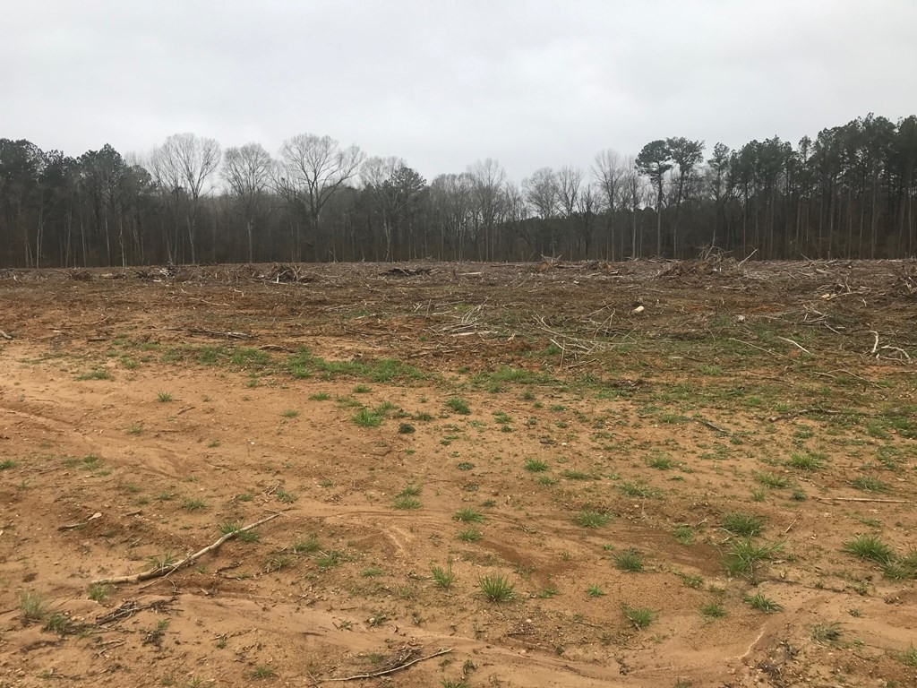 1111 Broome Road Wesson, MS 39191 - Photo 7 of 7 Photo 7