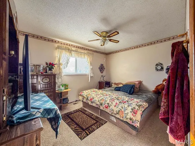 $193,900 | 202 Meadowbrook Drive, Farmington, MO 63640