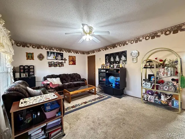 $193,900 | 202 Meadowbrook Drive, Farmington, MO 63640