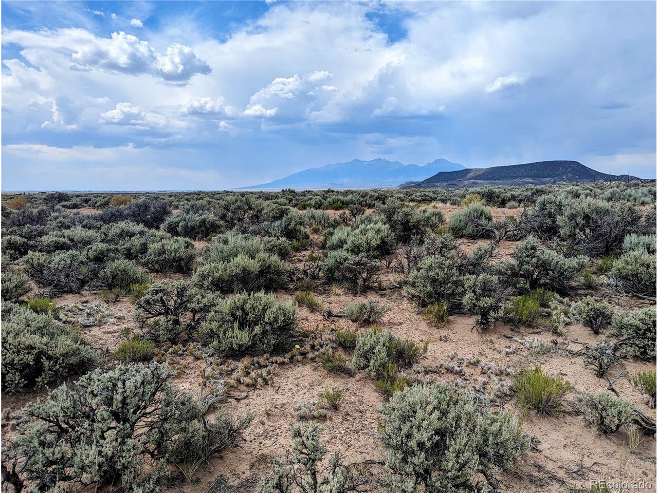 40 Sancho Road Fort Garland, CO 81133 - Photo 1 of 10 a view of a large trees with lots of trees