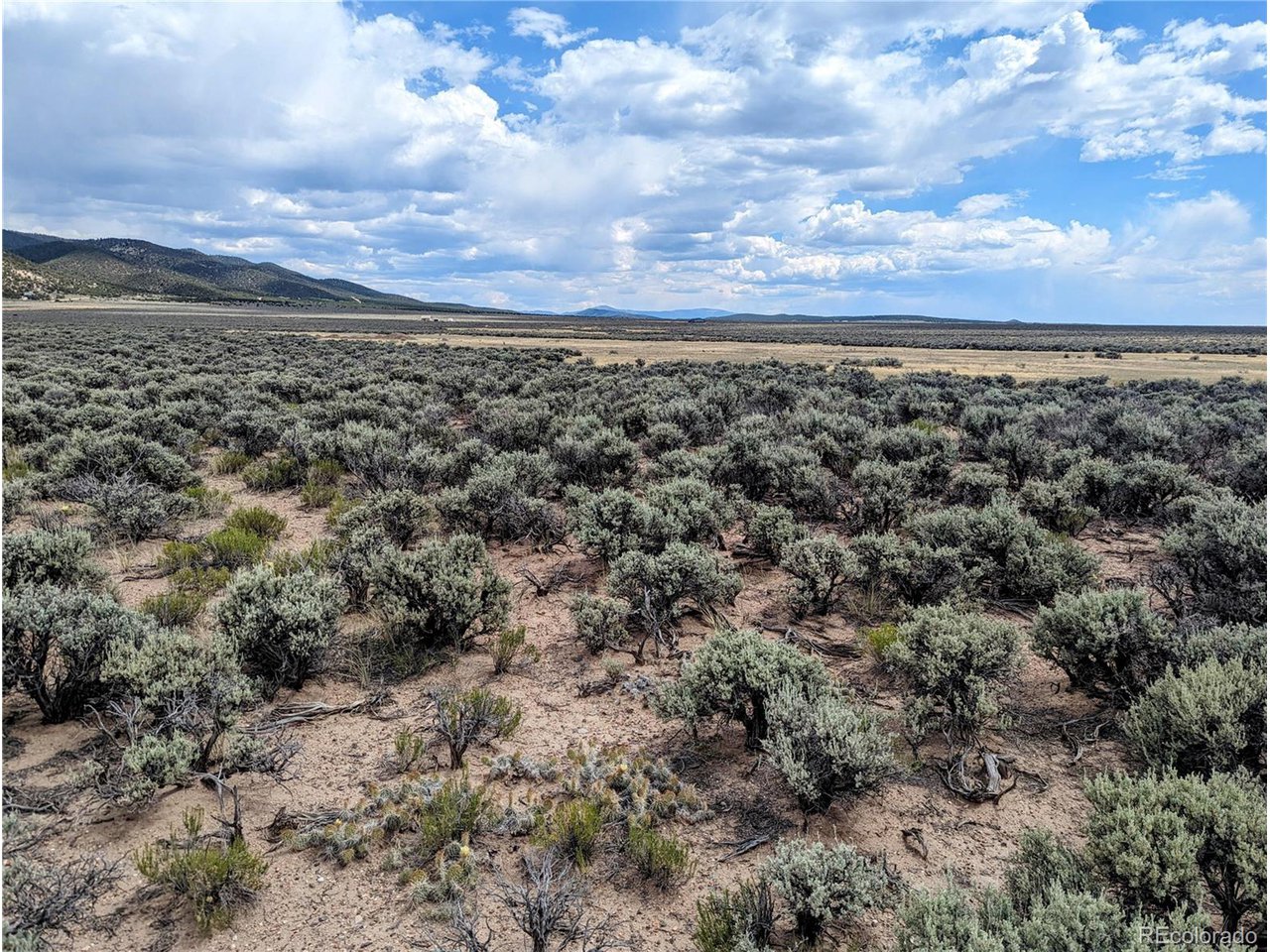 40 Sancho Road Fort Garland, CO 81133 - Photo 4 of 10 a view of a large trees