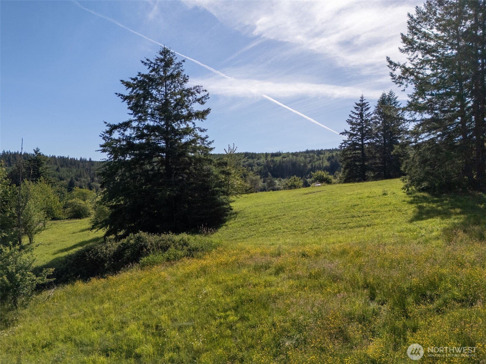 9999 Leland Valley Road West Quilcene, WA 98376 - Photo 29 of 40