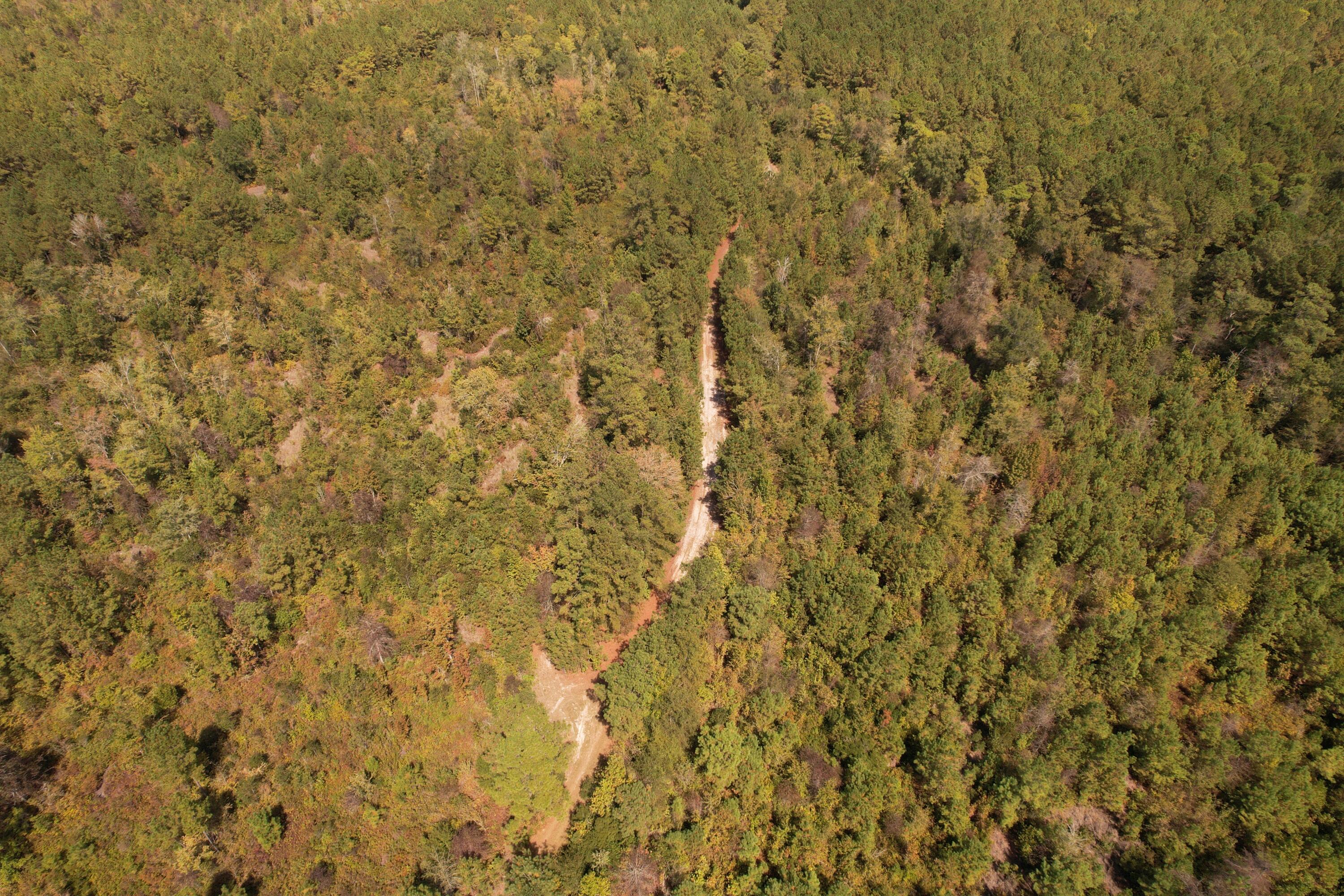 Tbd Old CC Camp Road Greeleyville, SC 29056 - Photo 11 of 12