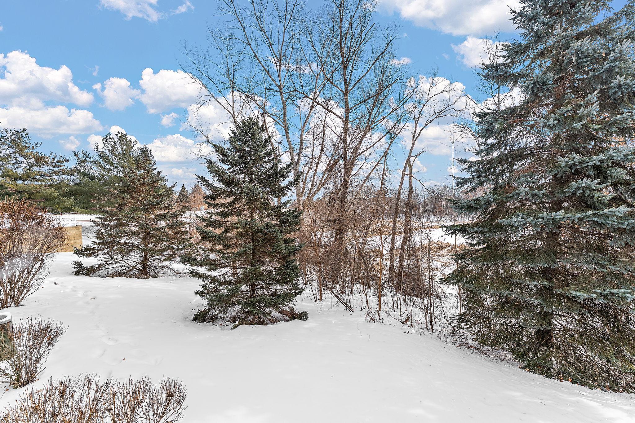 13510 Partridge Circle Northwest Andover, MN 55304 - Photo 4 of 29