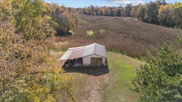 a view of a yard with a tree