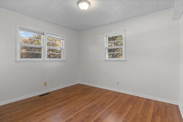 a view of a yard with plants and trees