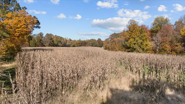 a view of a city with mountains in the background