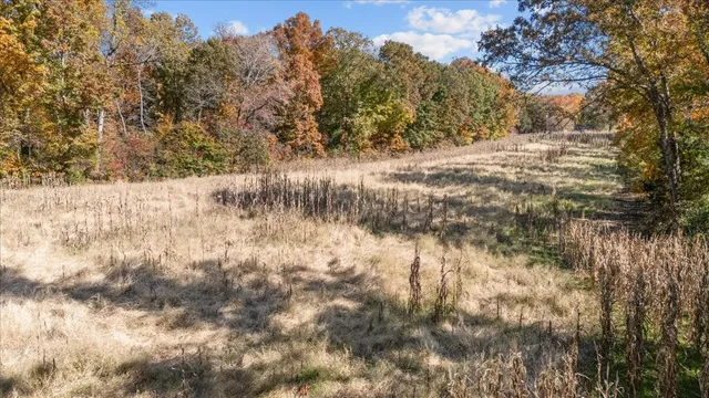 a view of a city from a balcony