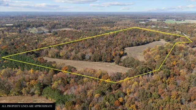 $459,900 | 2683 French Store Road, Big Sandy, TN 38221