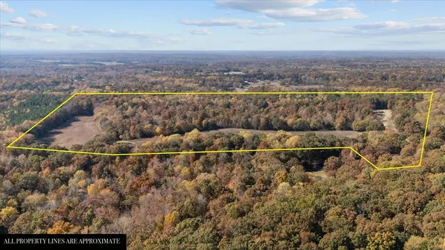 $459,900 | 2683 French Store Road, Big Sandy, TN 38221