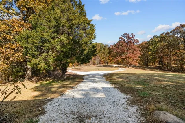 a view of a yard with a tree