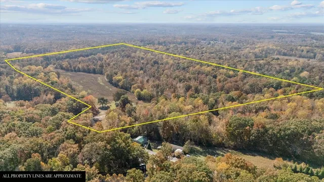 a view of a yard with wooden fence