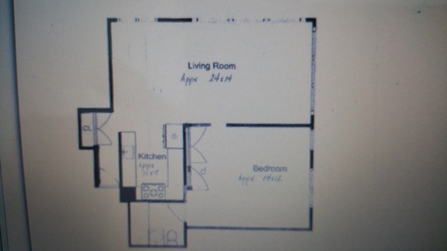 247 East Chestnut Street, Unit 1904 Chicago, IL 60611 - Photo 4 of 12