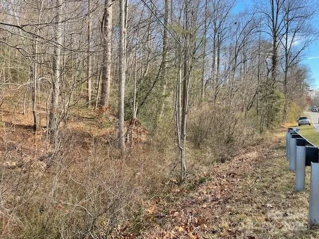a view of a yard with large trees
