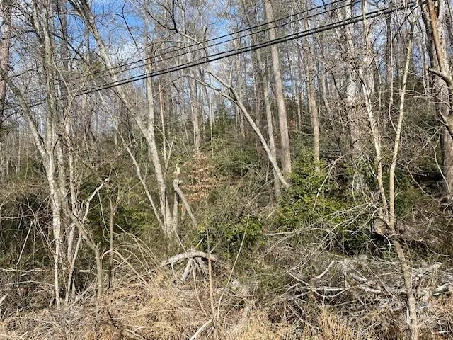 $115,000 | 70 Highway W Highway, Old Fort, NC 28762