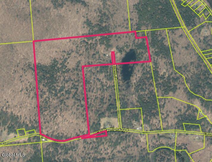 175 Snell Road Benson, NY 12134 - Photo 2 of 9 property lines