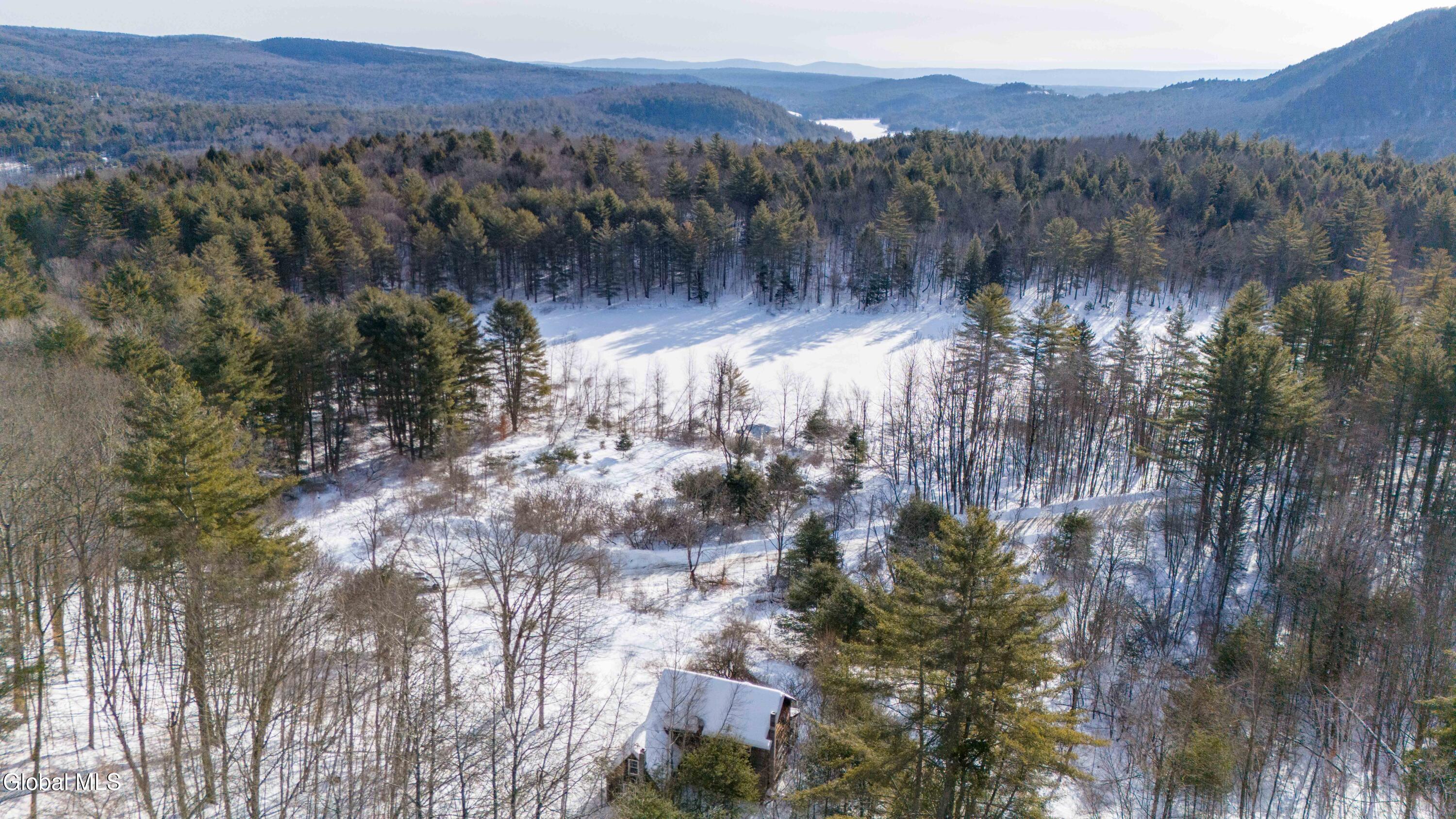 175 Snell Road Benson, NY 12134 - Photo 4 of 9 175 Snell Rd-9