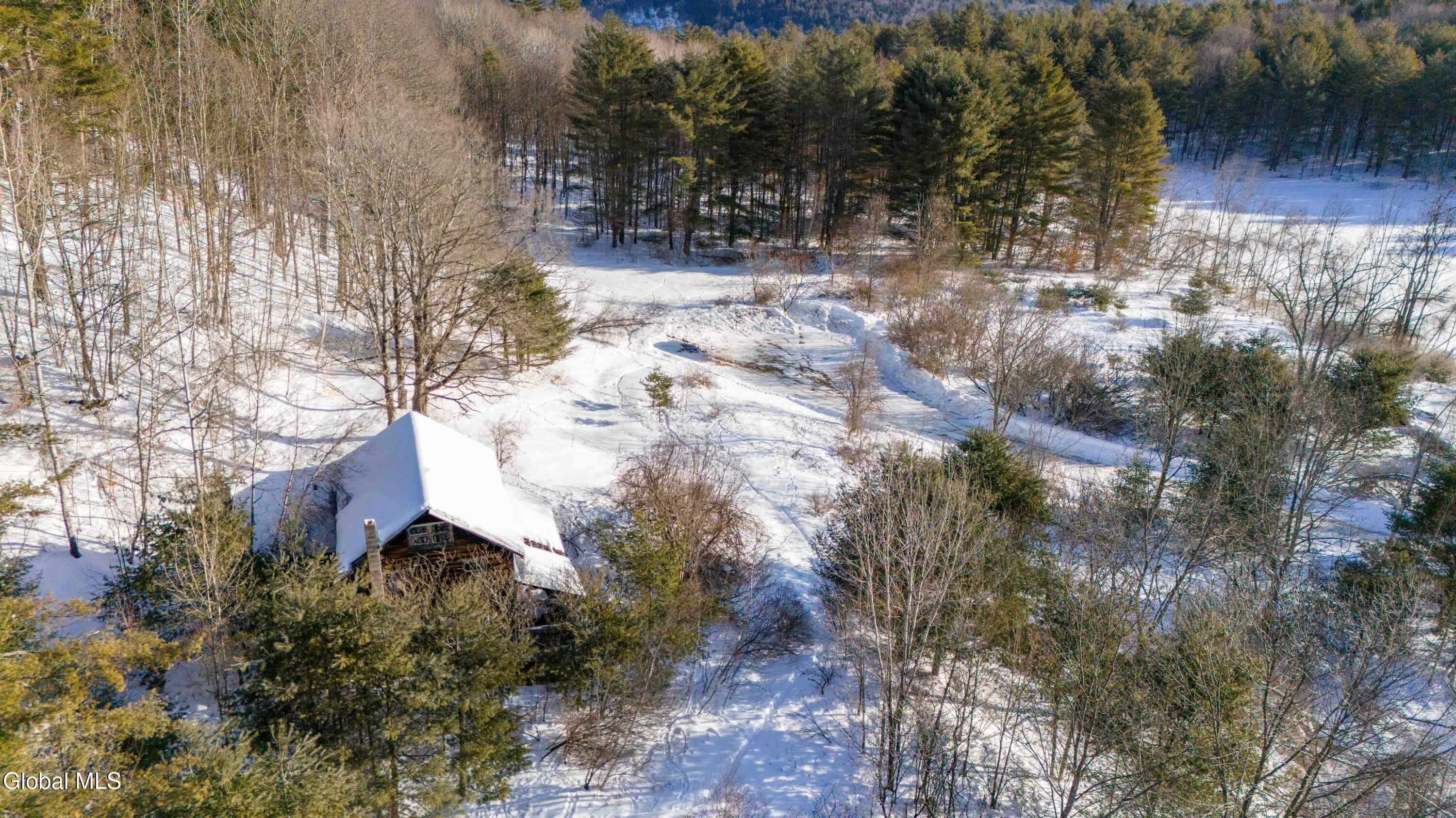 175 Snell Road Benson, NY 12134 - Photo 6 of 9 175 Snell Rd-6