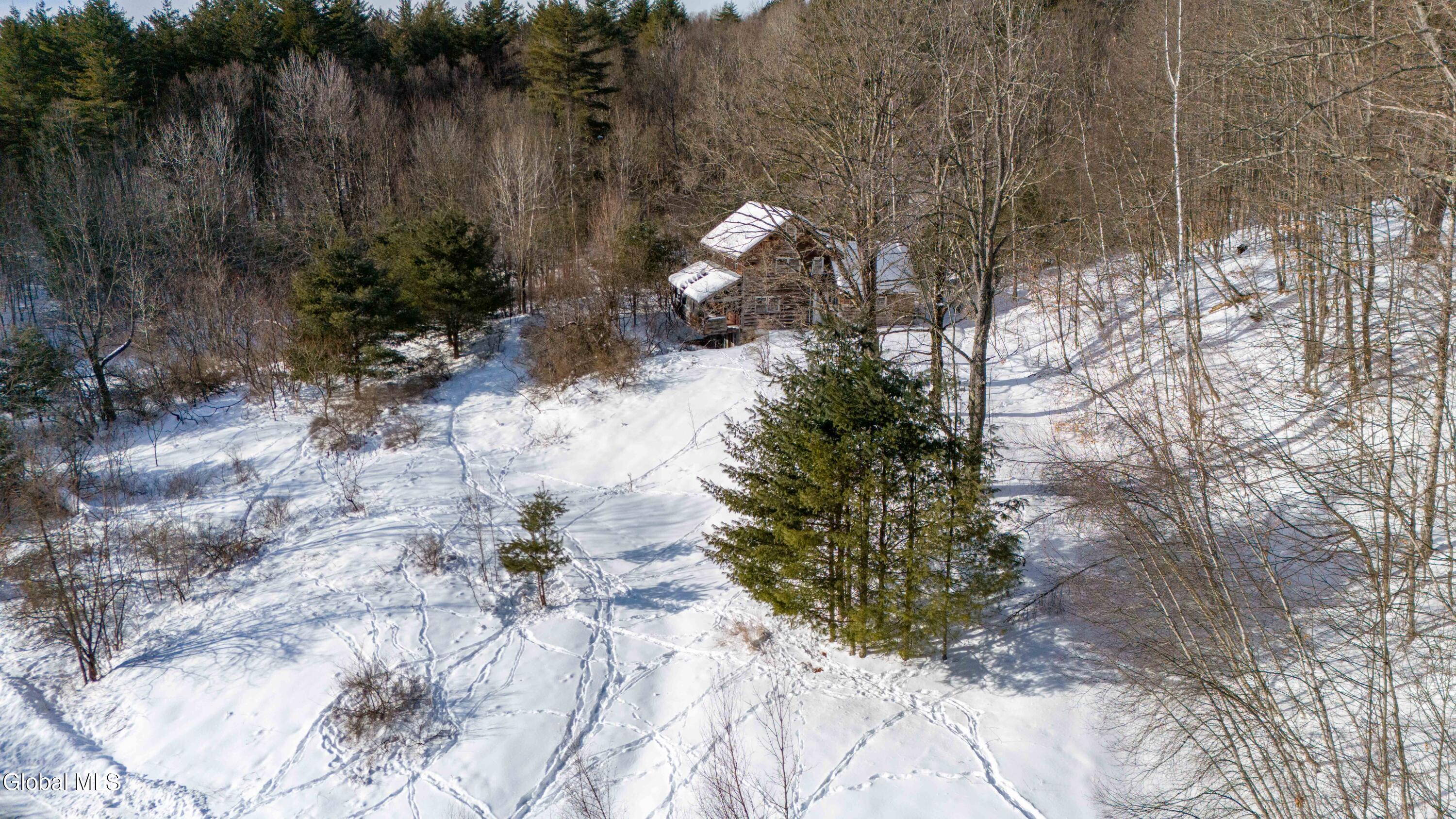 175 Snell Road Benson, NY 12134 - Photo 7 of 9 175 Snell Rd-11