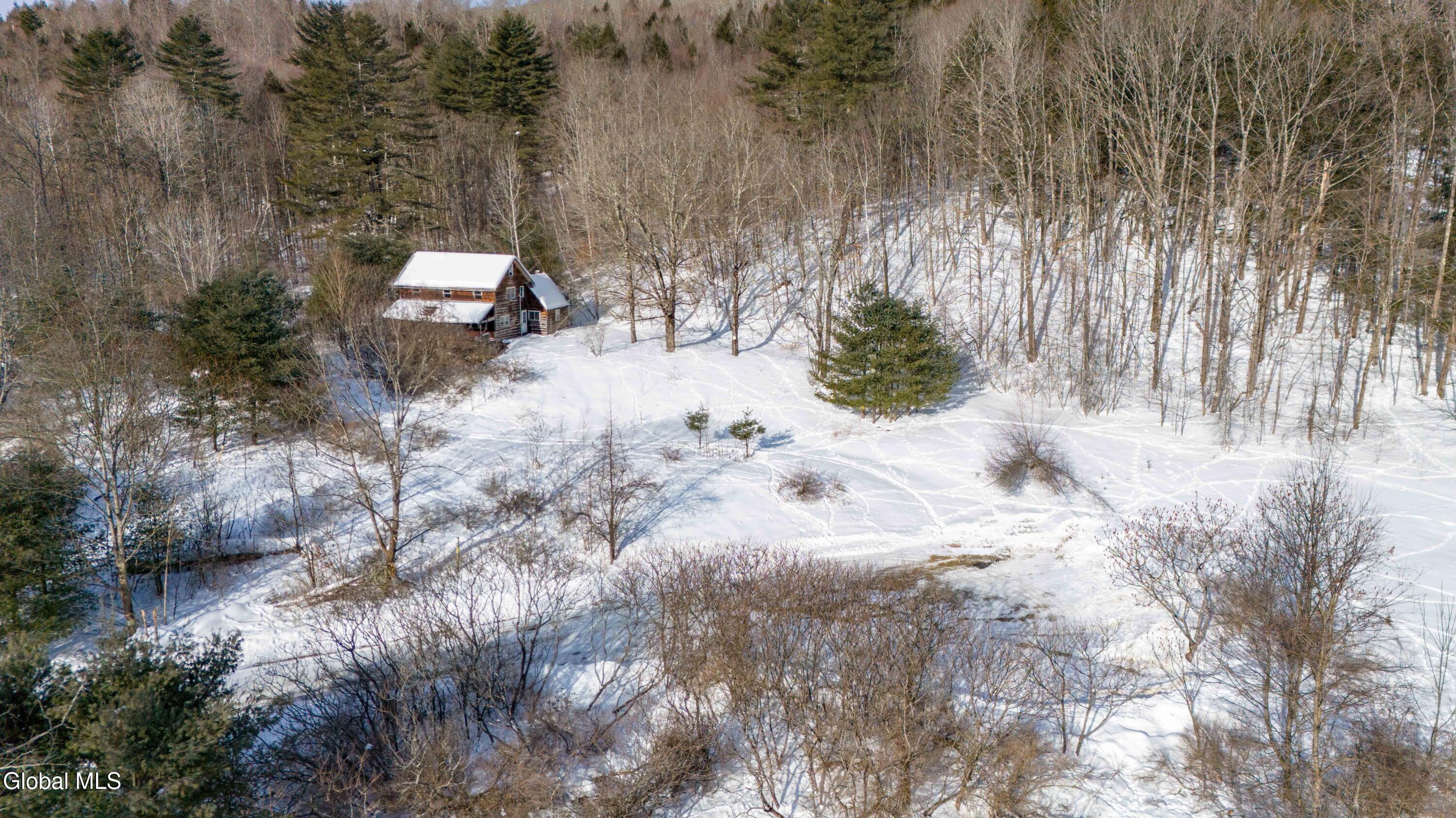 175 Snell Road Benson, NY 12134 - Photo 8 of 9 175 Snell Rd-12