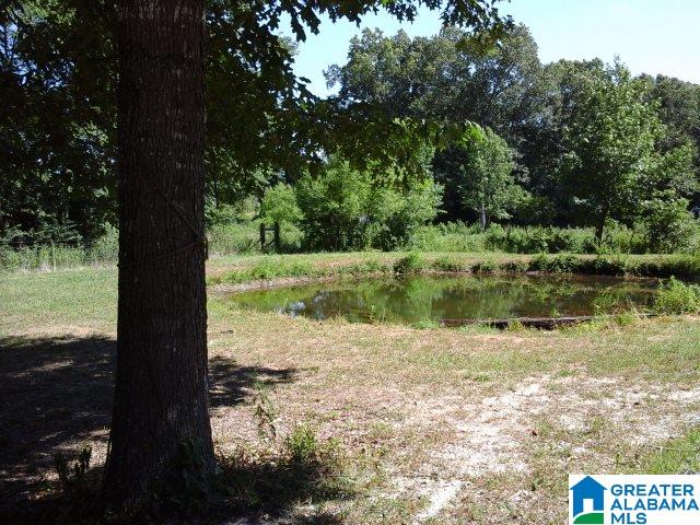 341 Happy Knoll Road Ashville, AL 35953 - Photo 36 of 47