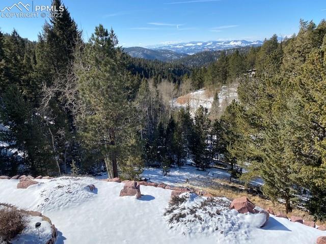 630 Homestead Road Divide, CO 80814 - Photo 10 of 50 Within an Hour of Breckenridge Ski Resort!