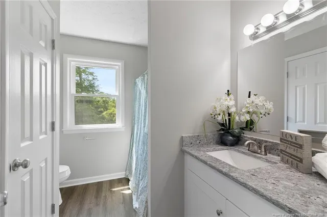 a bathroom with a granite countertop sink a mirror and a potted plant