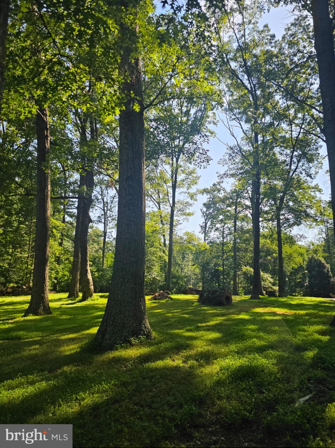 10947 Lawyers Road Reston, VA 20191 - Photo 3 of 3 a view of a park with large trees