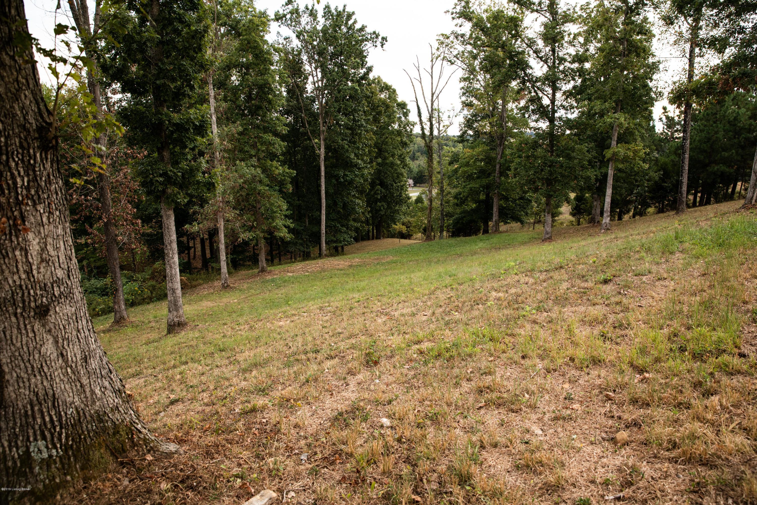 2301 Sunbeam Road Leitchfield, KY 42754 - Photo 11 of 47 11