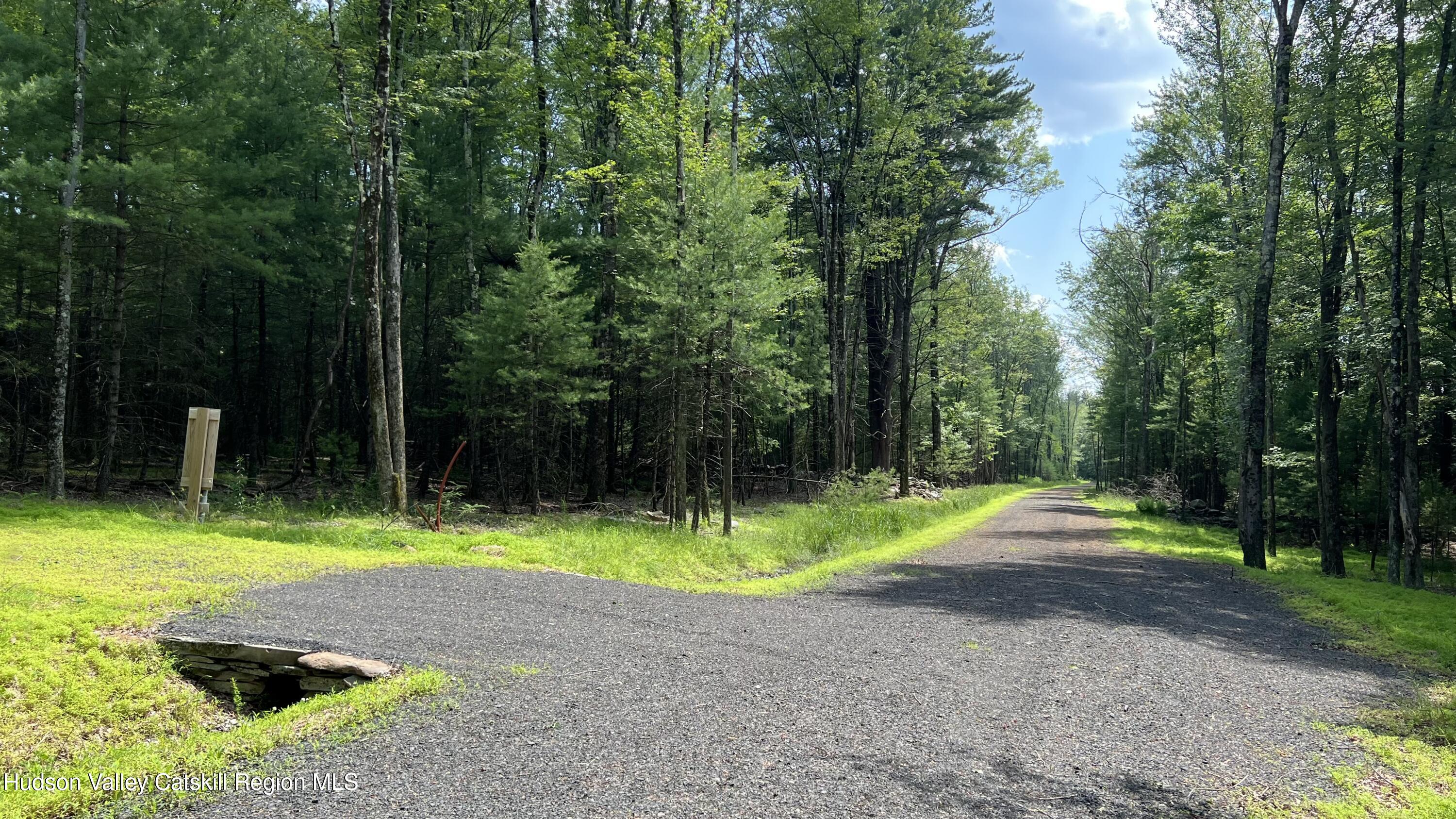 a view of outdoor space with swimming pool and trees