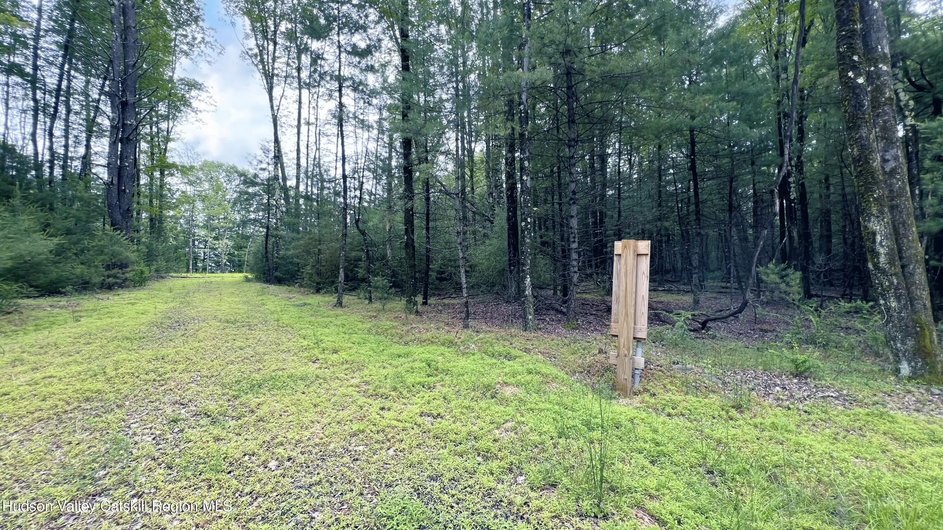 4 Rockaway Road Accord, NY 12404 - Photo 9 of 14 a fire hydrant in the middle of a field