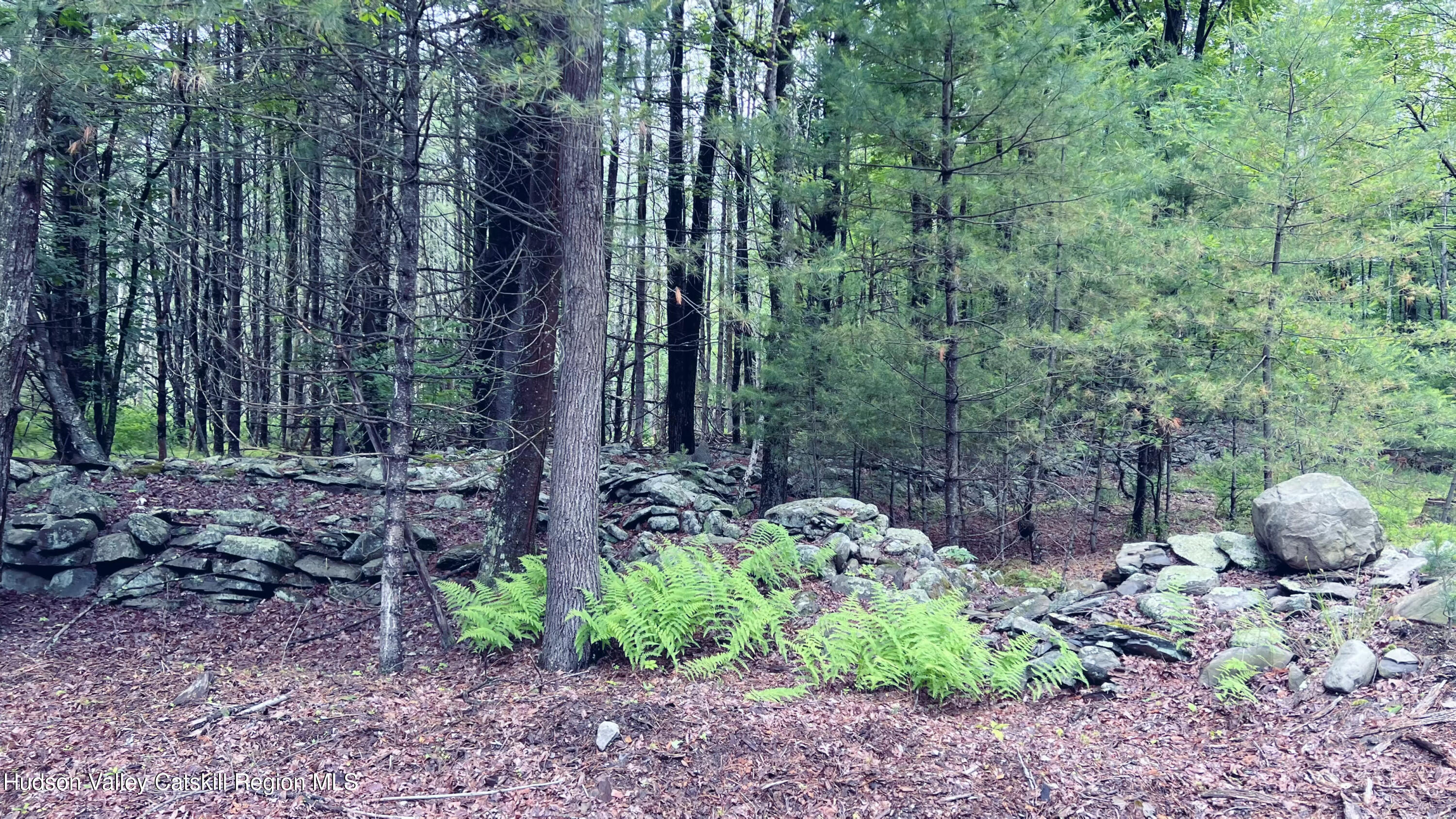 4 Rockaway Road Accord, NY 12404 - Photo 10 of 14 a backyard of a house with lots of green space