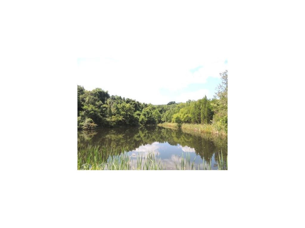 0 Choptack Road Rogersville, TN 37857 - Photo 1 of 5 Photo 1