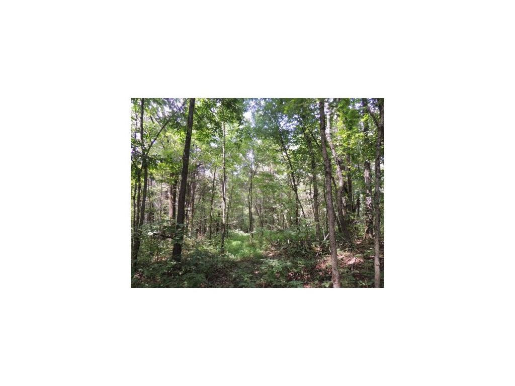 0 Choptack Road Rogersville, TN 37857 - Photo 3 of 5 Photo 3