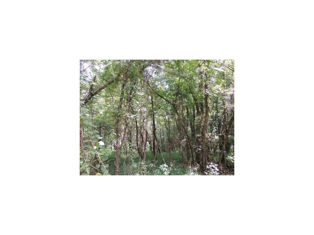 0 Choptack Road Rogersville, TN 37857 - Photo 4 of 5 Photo 4