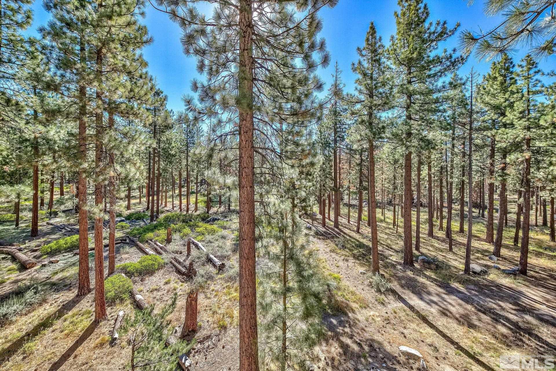 84 Rubicon Circle North, Unit C Stateline, NV 89449 - Photo 10 of 22 a view of a yard