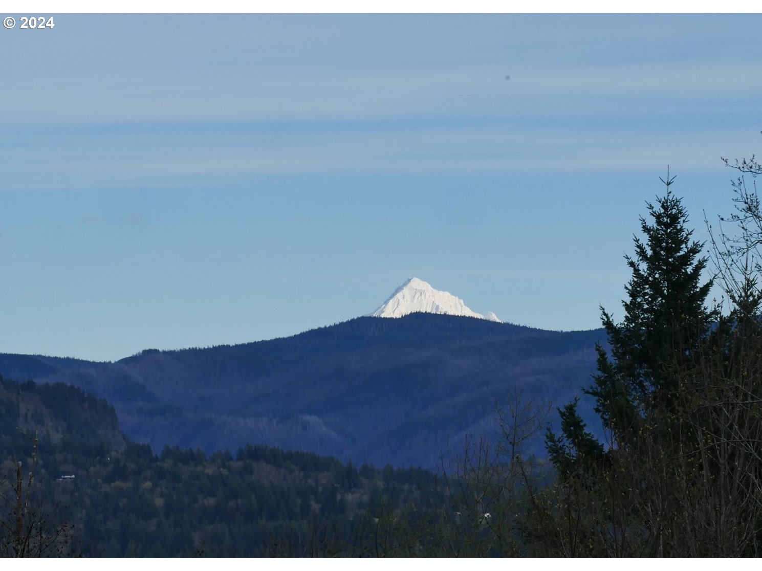 81 Brian Road Washougal, WA 98671 - Photo 10 of 41 Gallery Image 10