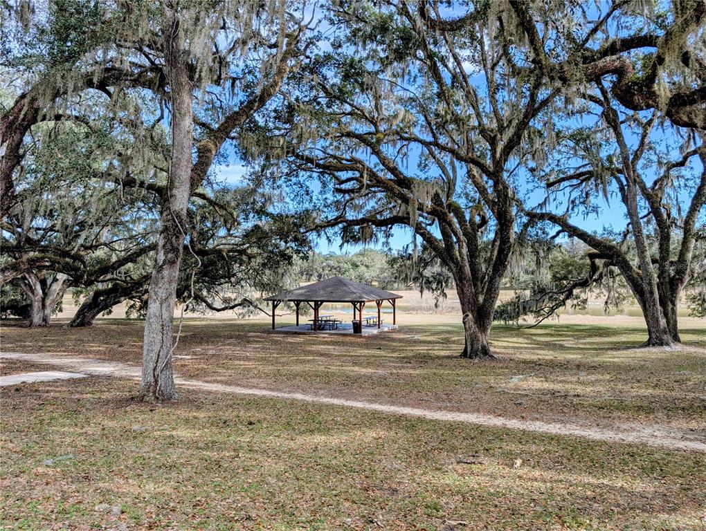 Southwest 109th Place Dunnellon, FL 34432 - Photo 12 of 15 a view of road with trees