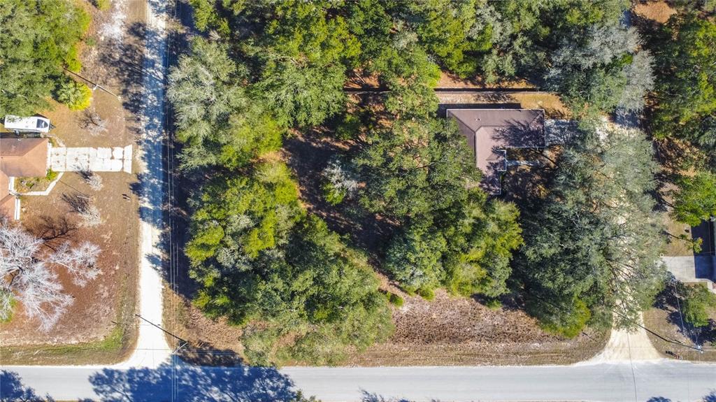 Southwest 109th Place Dunnellon, FL 34432 - Photo 14 of 15 a view of a yard with plants and trees