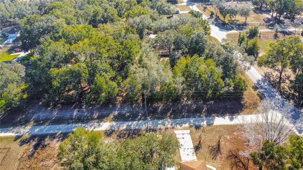 Southwest 109th Place Dunnellon, FL 34432 - Photo 2 of 15 a view of a yard