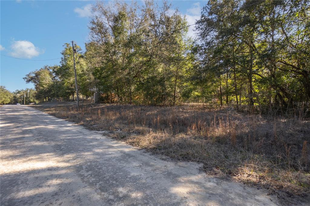 Southwest 109th Place Dunnellon, FL 34432 - Photo 3 of 15 a view of a lake with lots of trees