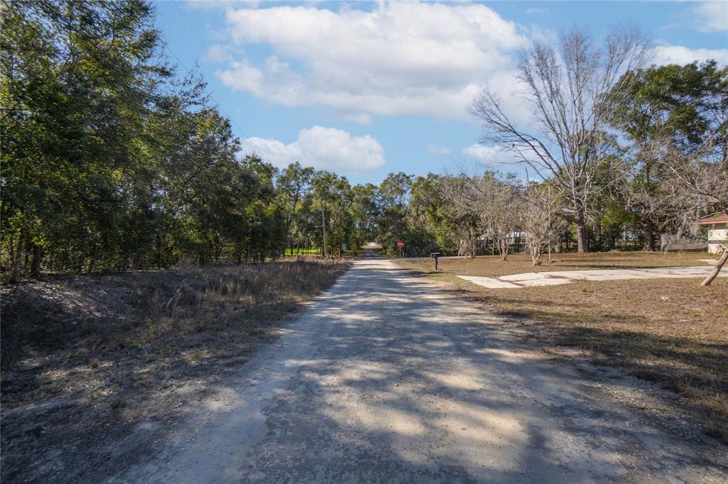 Southwest 109th Place Dunnellon, FL 34432 - Photo 4 of 15 a view of outdoor space with trees all around